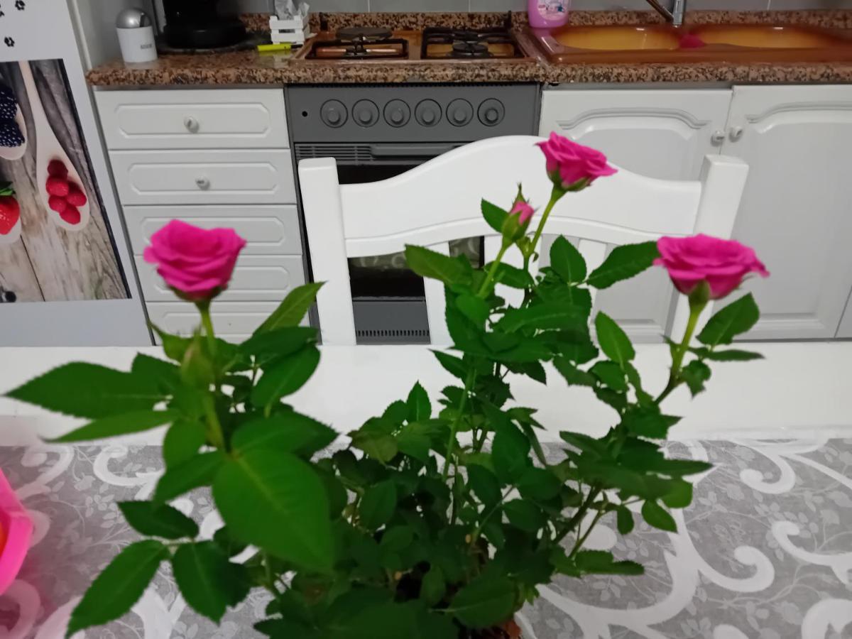 Casa Passamonte Apartman Palermo Kültér fotó